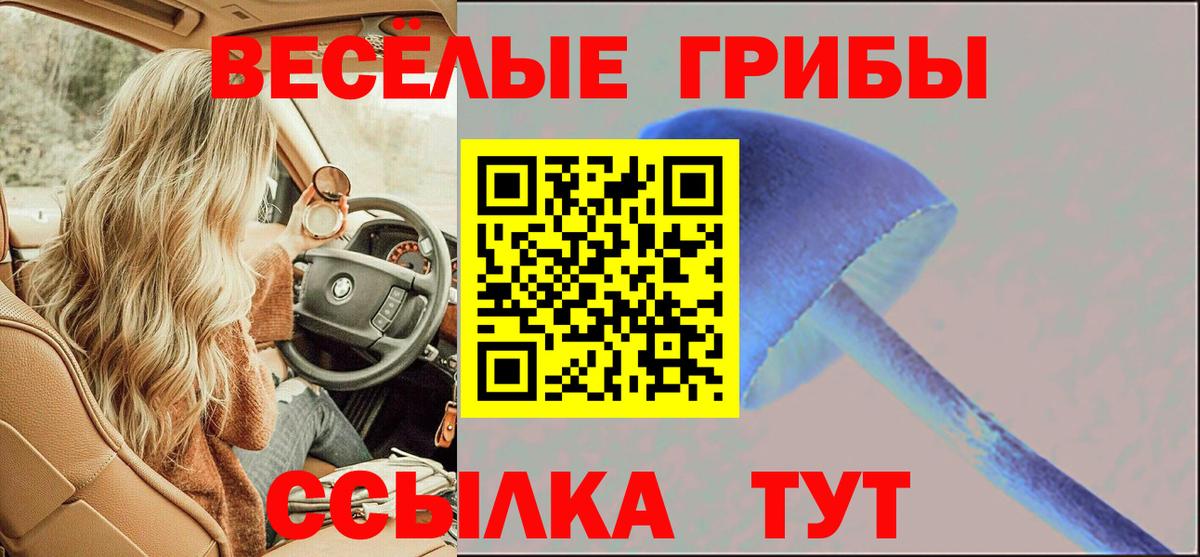 Псилоцибиновые грибы Cubensis  Вход с VPN  Кыштым  Псилоцибиновые грибы MAGIC MUSHROOMS 